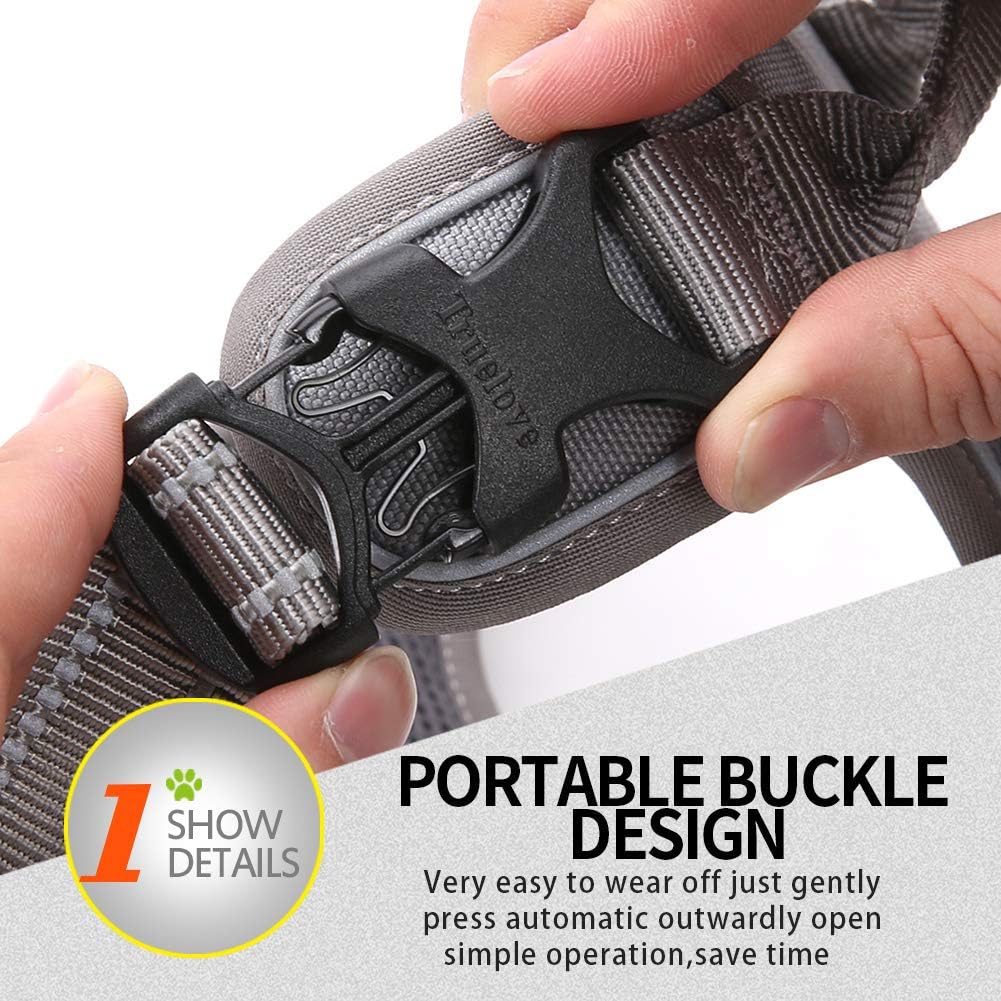 Truelove No Pull Dog Harness with Easy Control Handle and 2 Leash Attachments,Reflective Adjustable Pet Vest